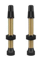 WTB TCS Valve