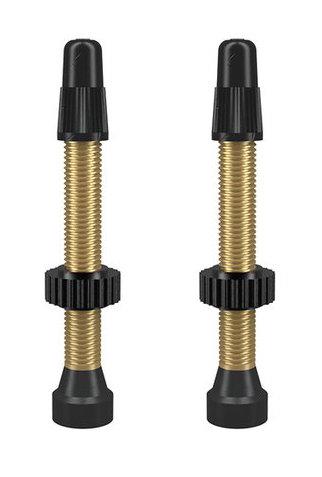 WTB TCS Valve