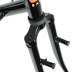 BASSI BIKES Le Montréal V3 Frame Set