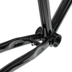 BASSI BIKES Le Montréal V3 Frame Set