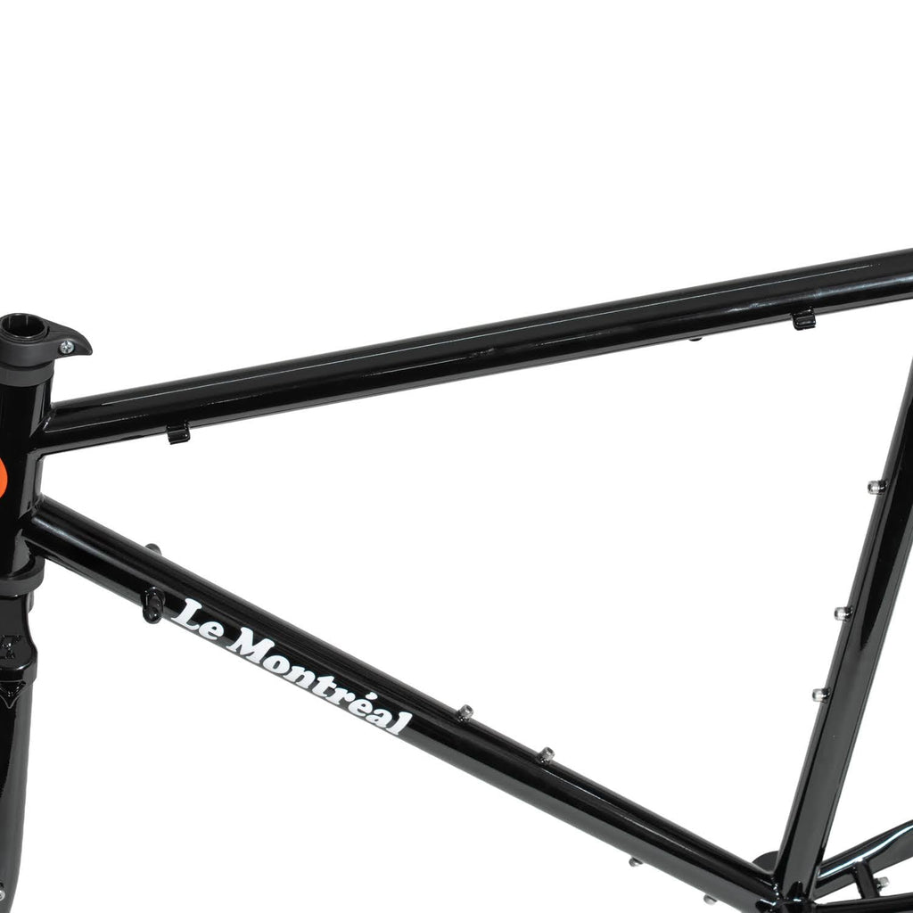 BASSI BIKES Le Montréal V3 Frame Set