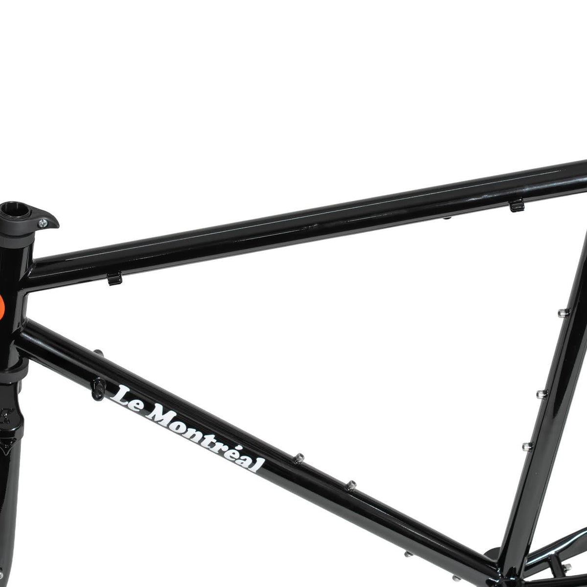 BASSI BIKES Le Montréal V3 Frame Set