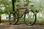 BASSI BIKES Le Montréal V3 Frame Set