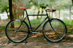 BASSI BIKES Le Montréal V3 Frame Set