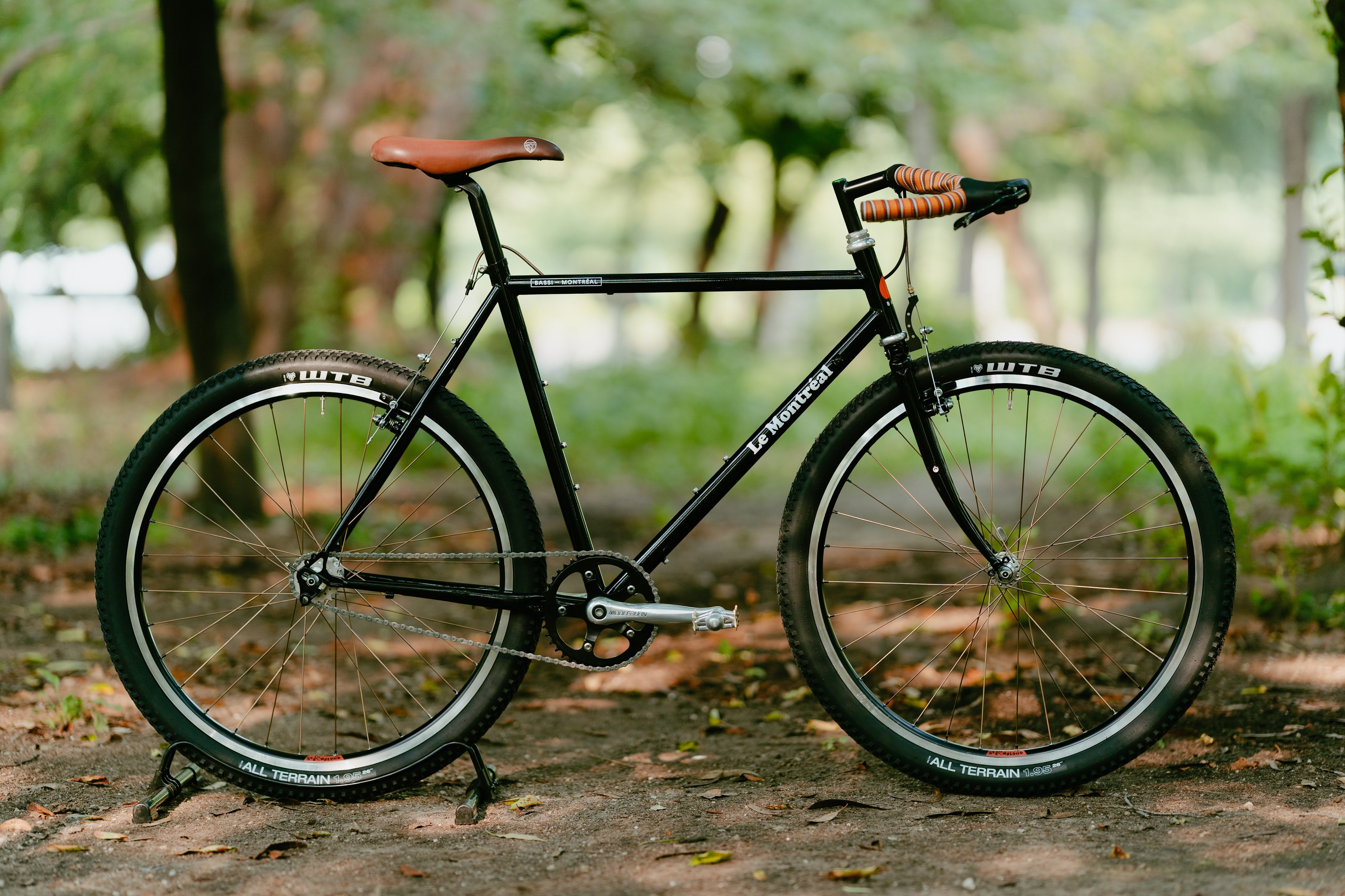 BASSI BIKES Le Montréal V3 Frame Set