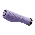 ERGON GMS