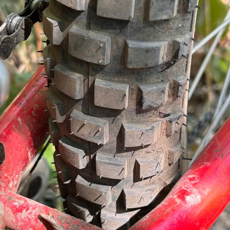 HOUSE OF LOOPTAIL Competition Deuce Tire