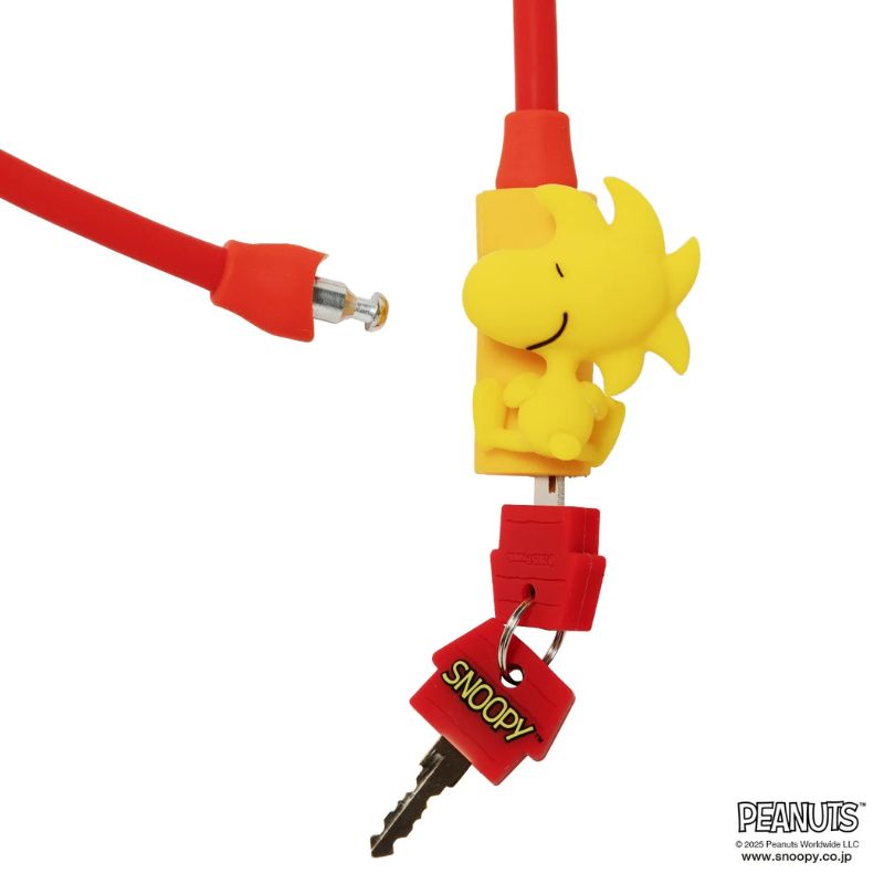 CIRCLES SELECT Character Wire Lock