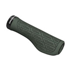 ERGON GMS