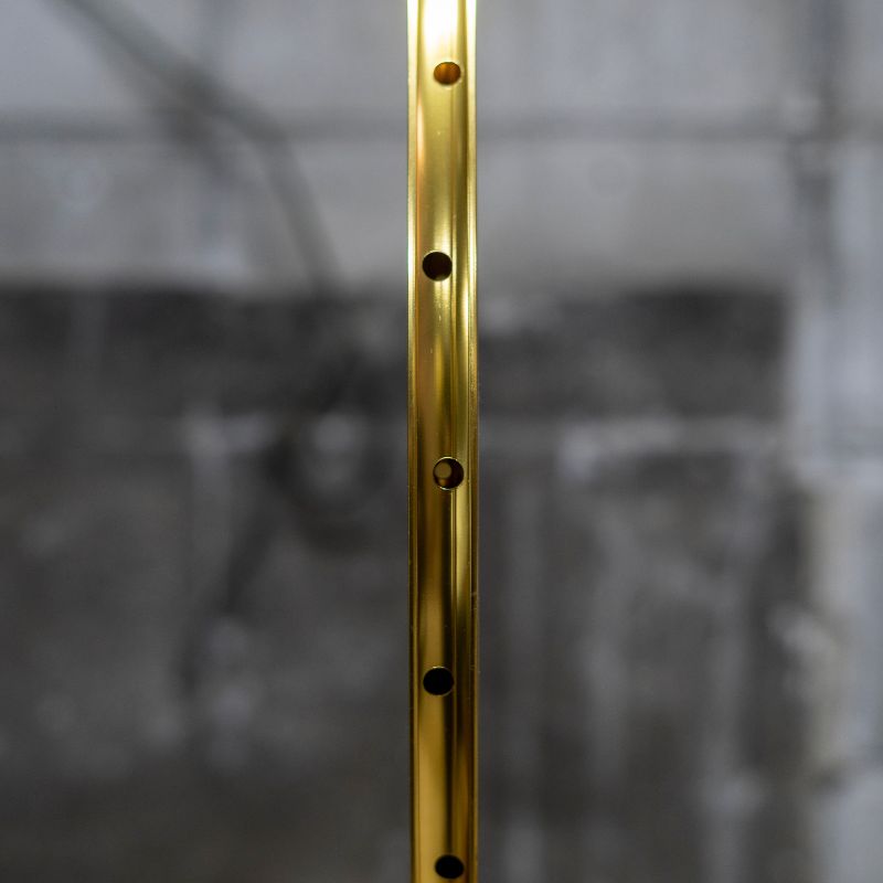 [New Old Stock] VELOCITY Deep v Nonmsw Gold - 2