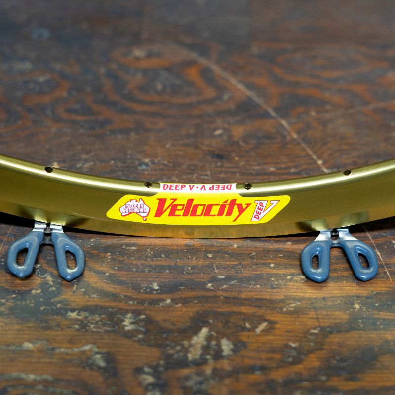 New Old Stock] VELOCITY Deep v Nonmsw Gold - 3