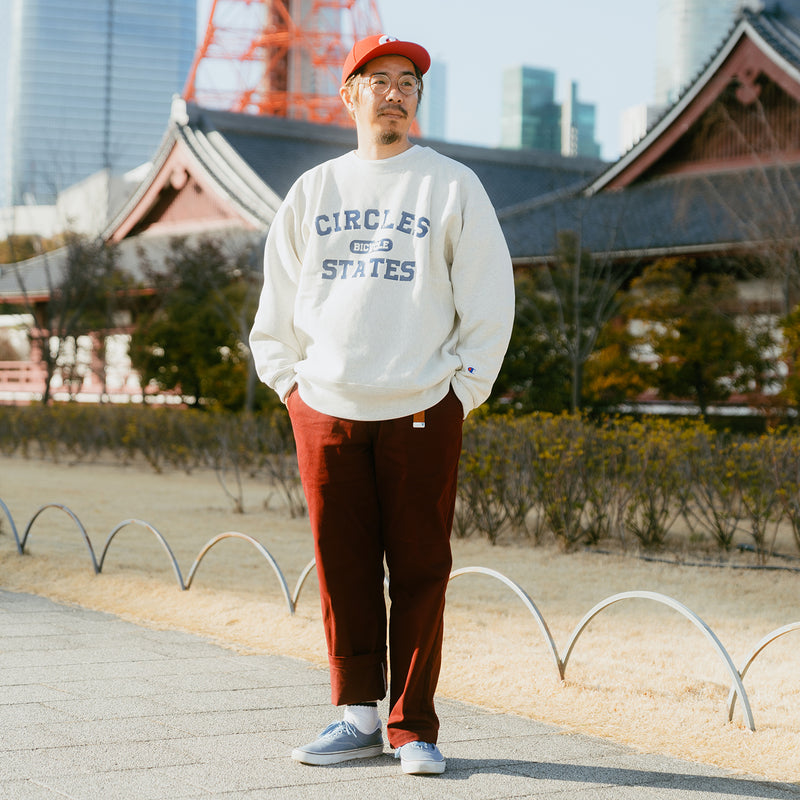 DICKIES Circles 874