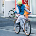 RAL Reversible Vest