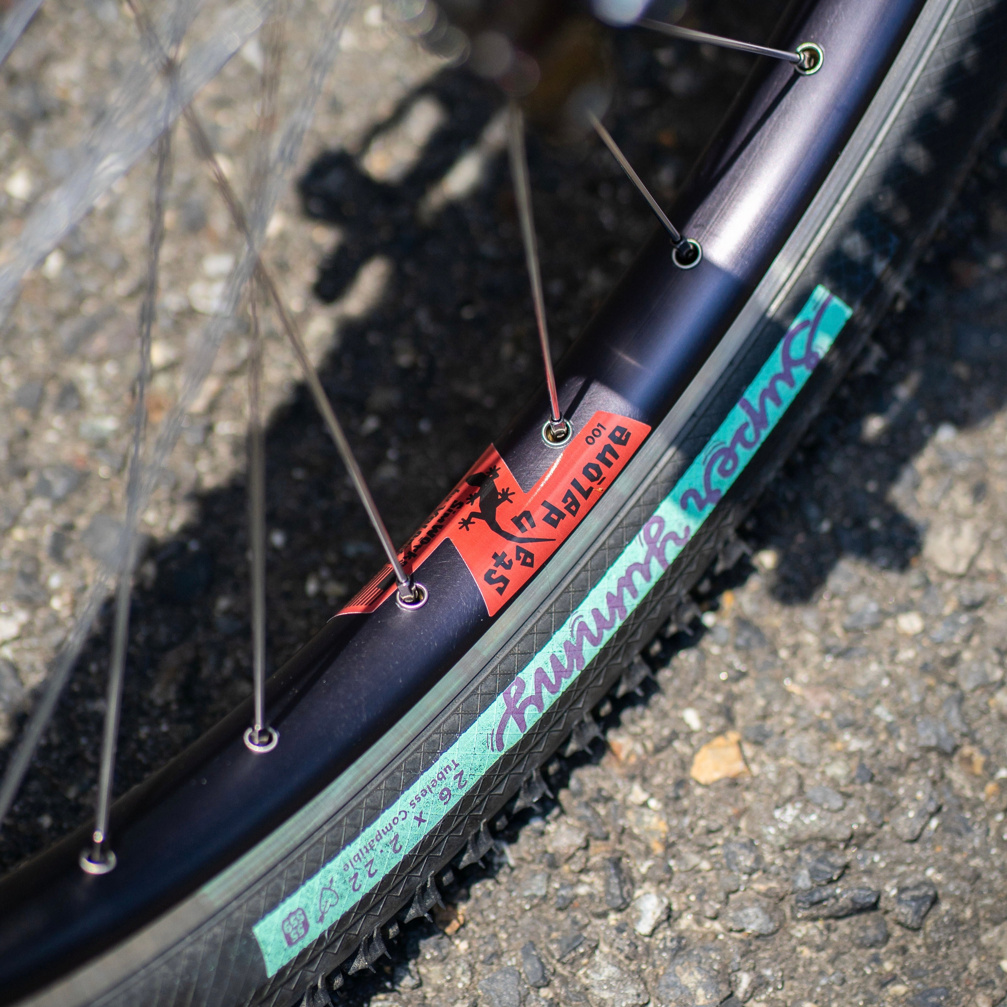 WILDE BICYCLE Moto-Cruiser Circles Original Complete Bike