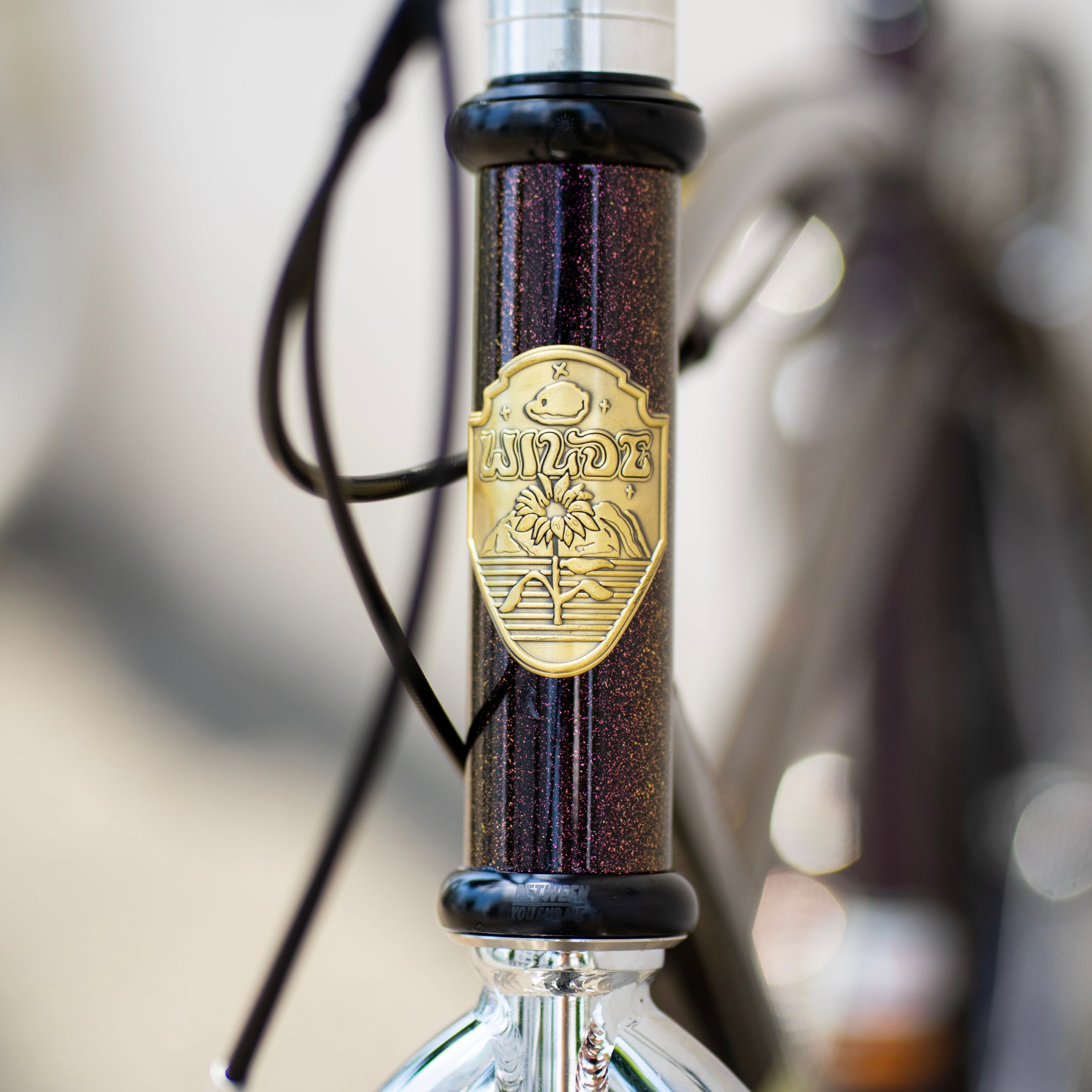 WILDE BICYCLE Moto-Cruiser Circles Original Complete Bike