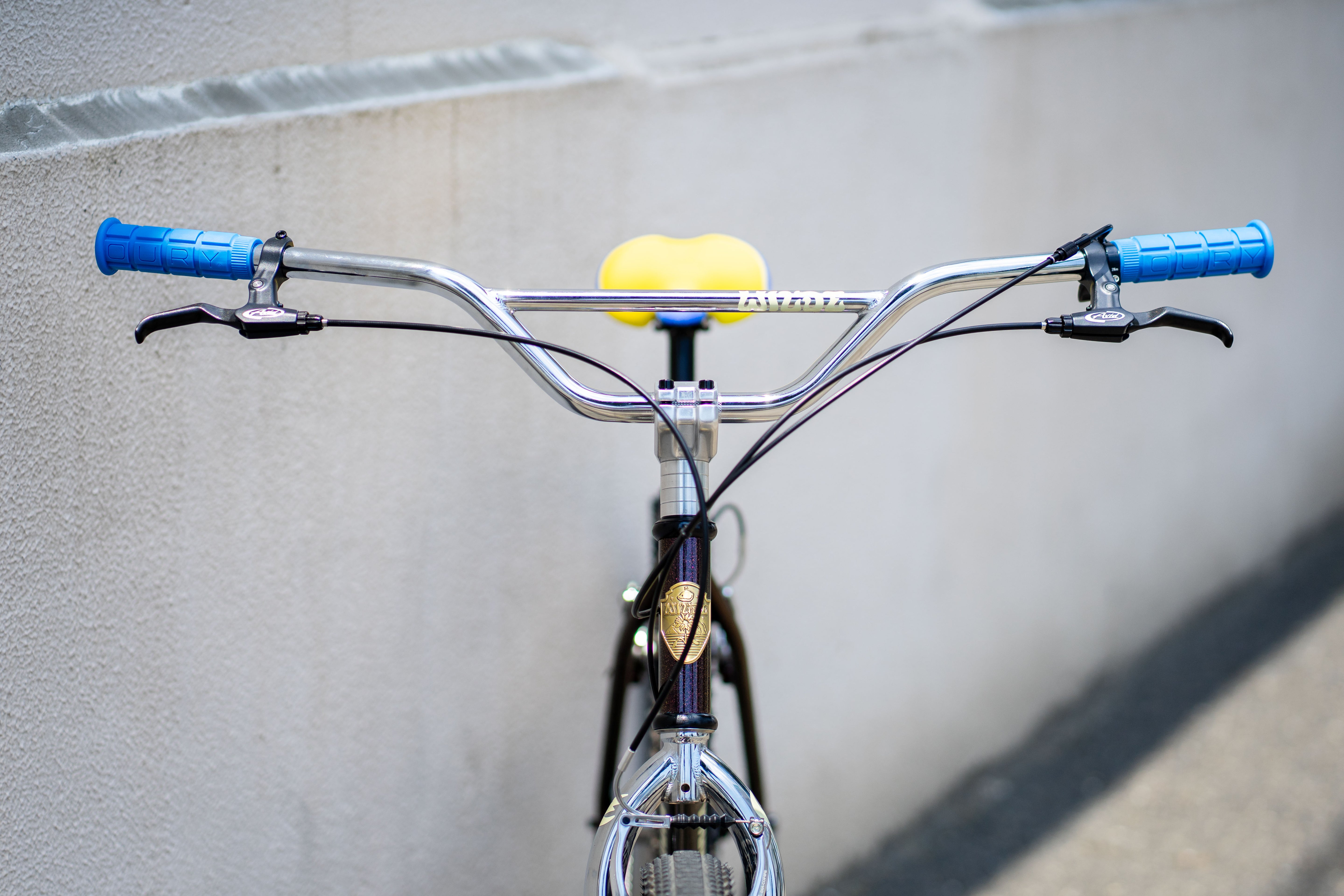 WILDE BICYCLE Moto-Cruiser Circles Original Complete Bike