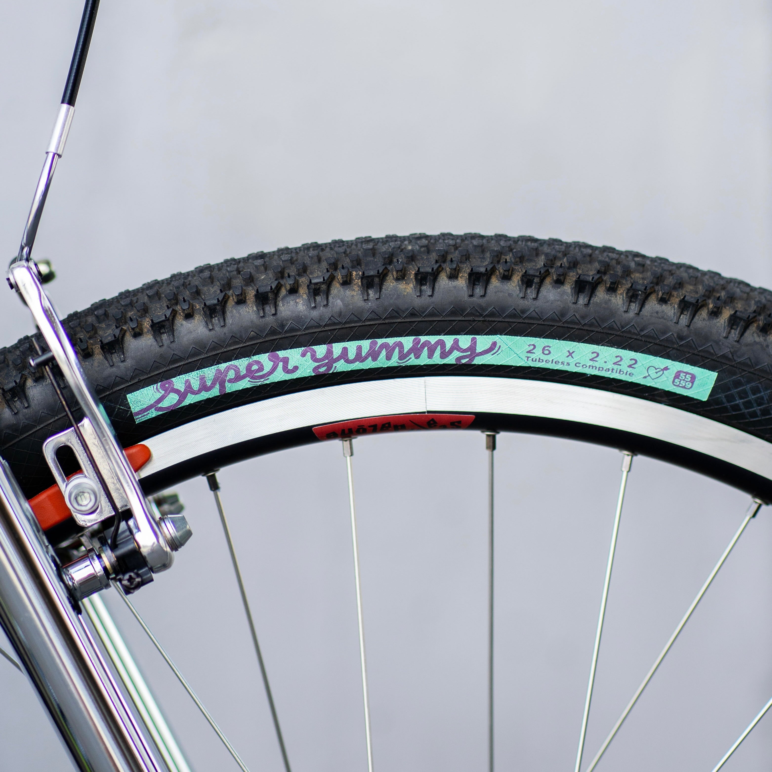 WILDE BICYCLE Moto-Cruiser Circles Original Complete Bike