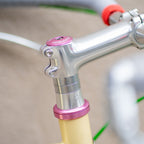BASSI Hog’s Back Circles Complete Bike - Sparkle Beige