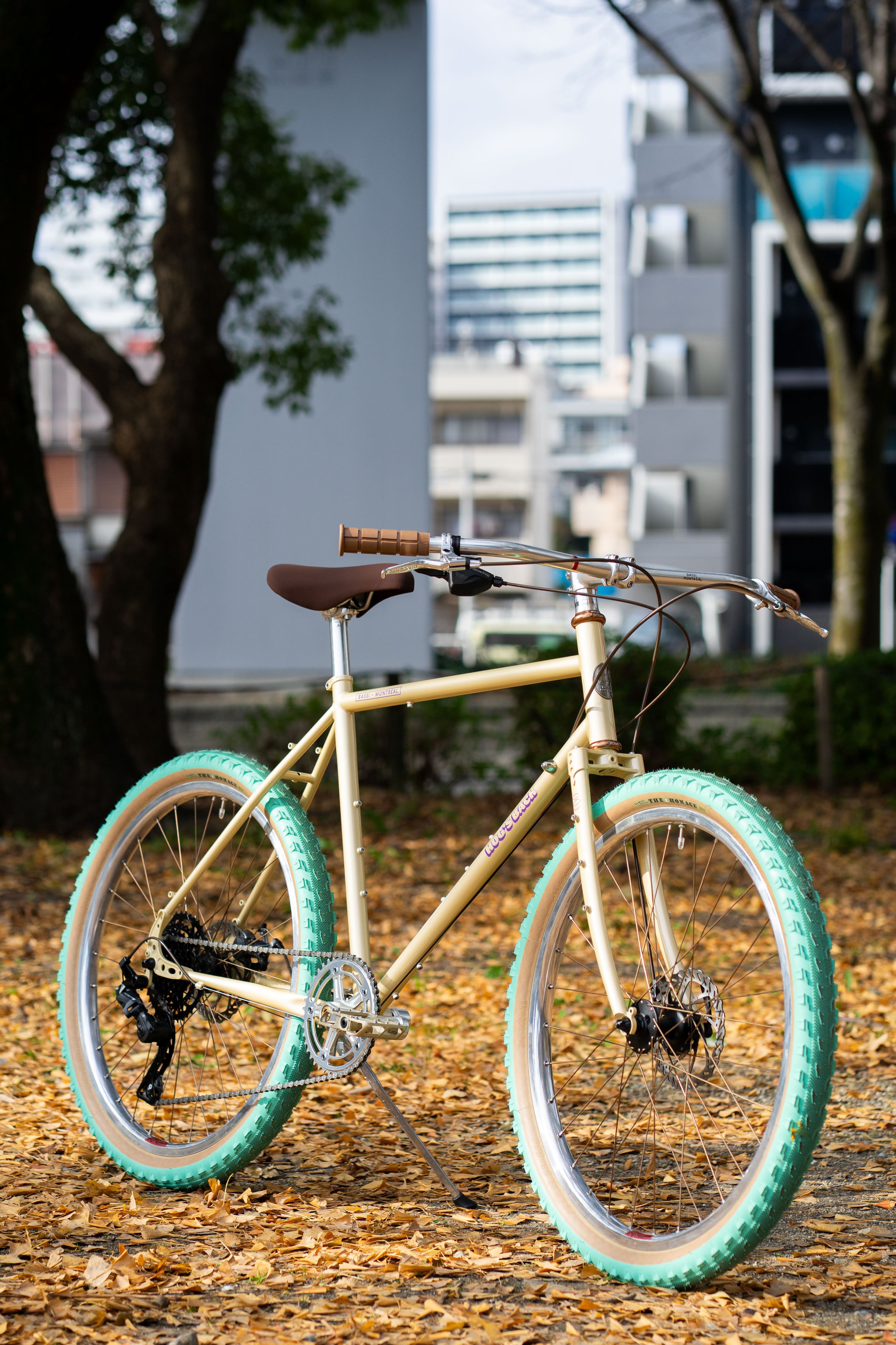 BASSI BIKES Hog's Back Complete Bike