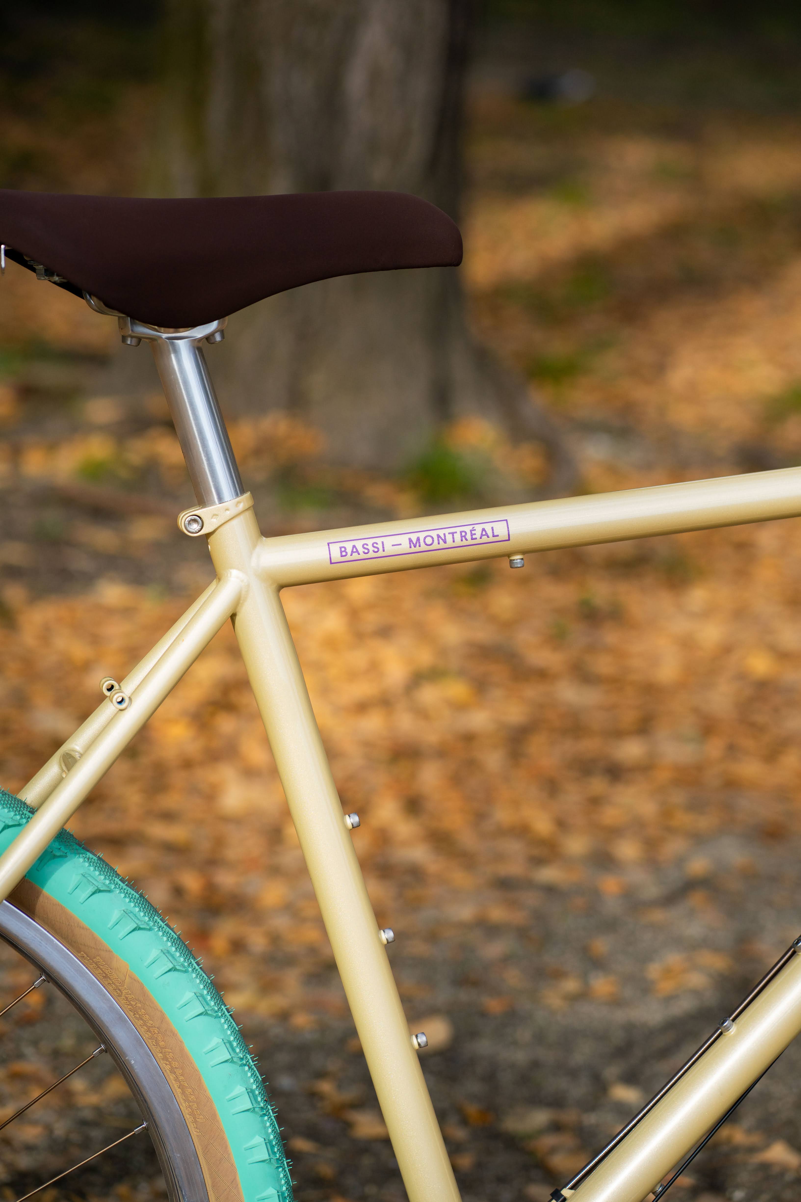 BASSI BIKES Hog's Back Complete Bike