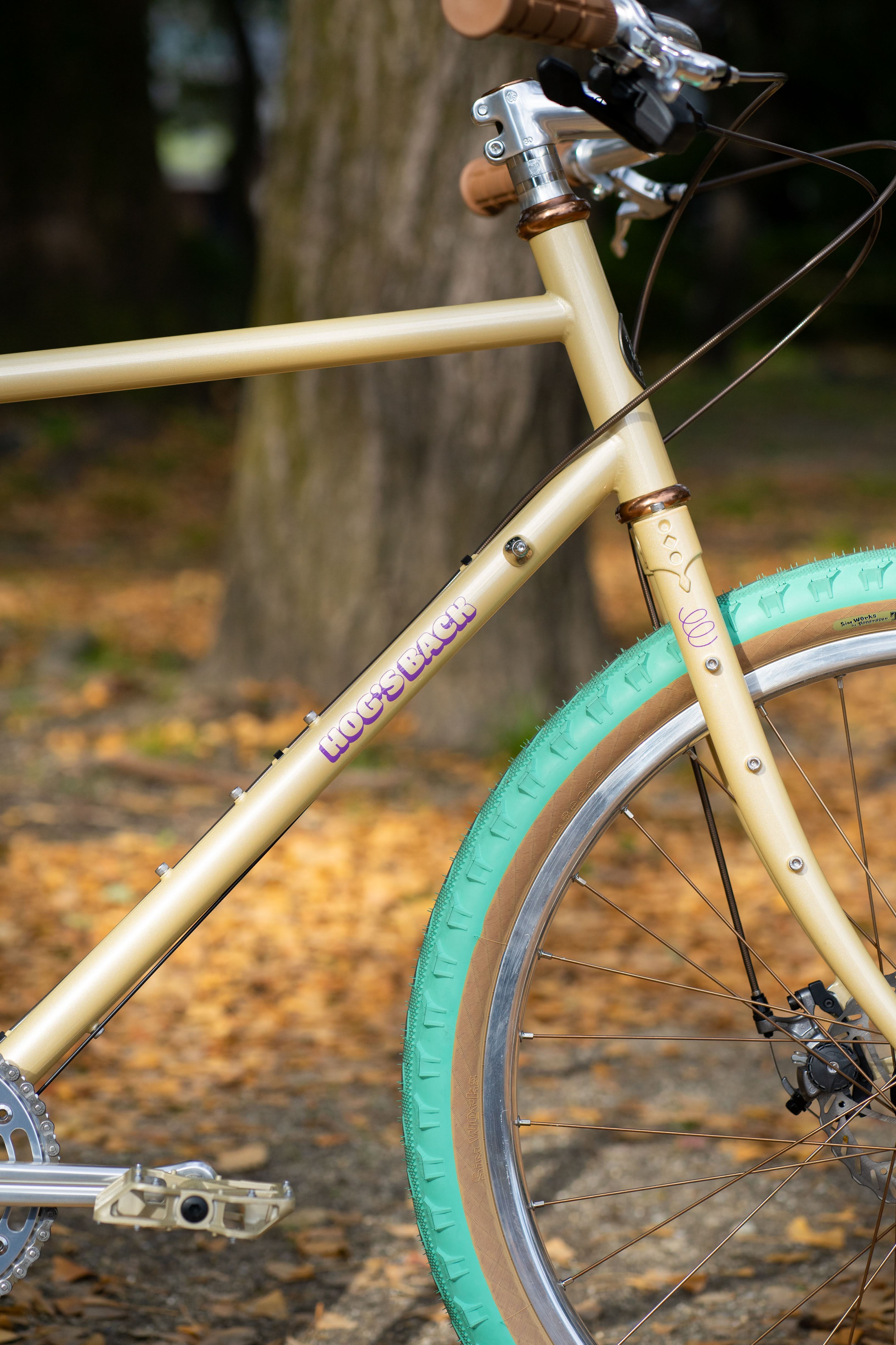 BASSI BIKES Hog's Back Complete Bike