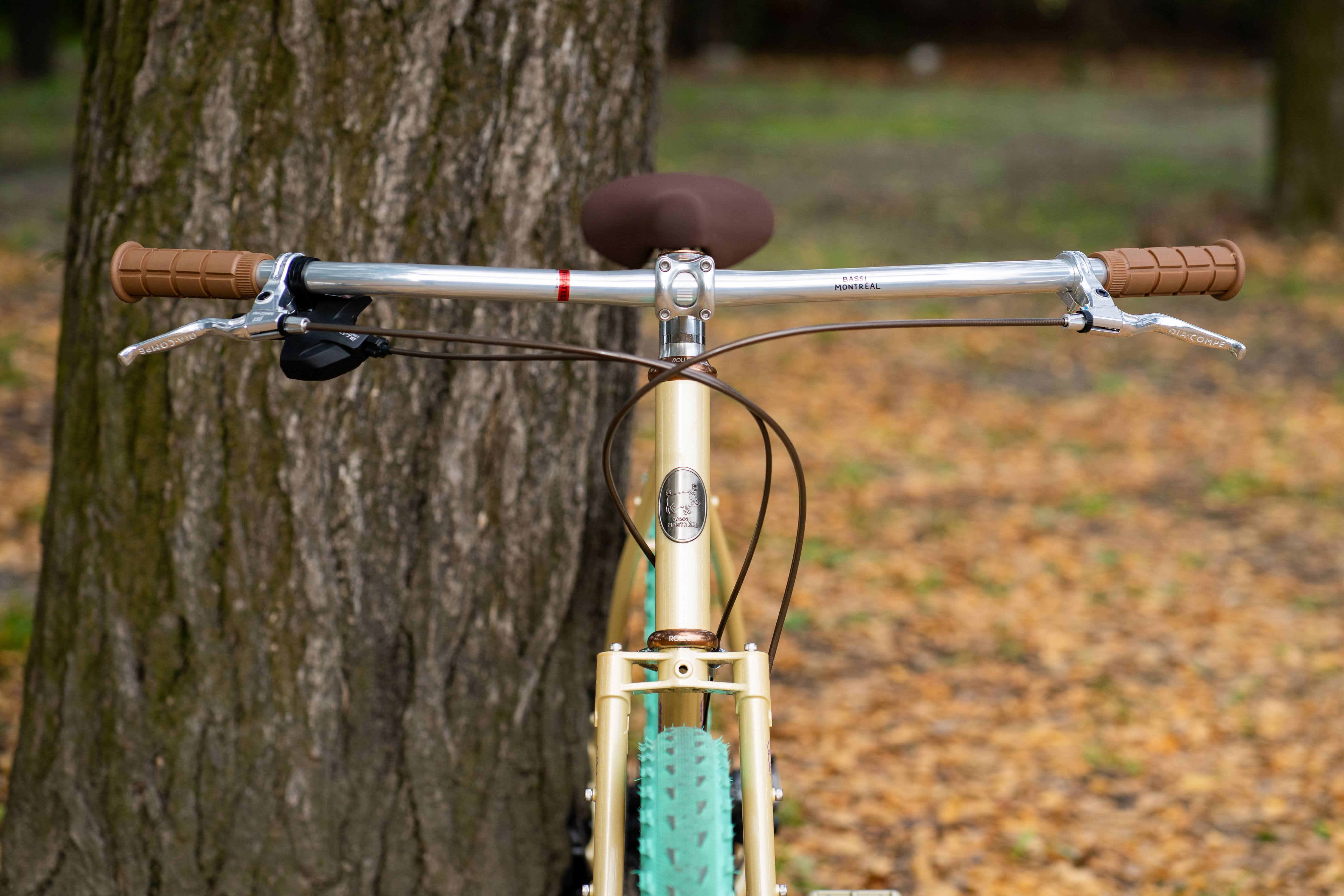 BASSI BIKES Hog's Back Complete Bike