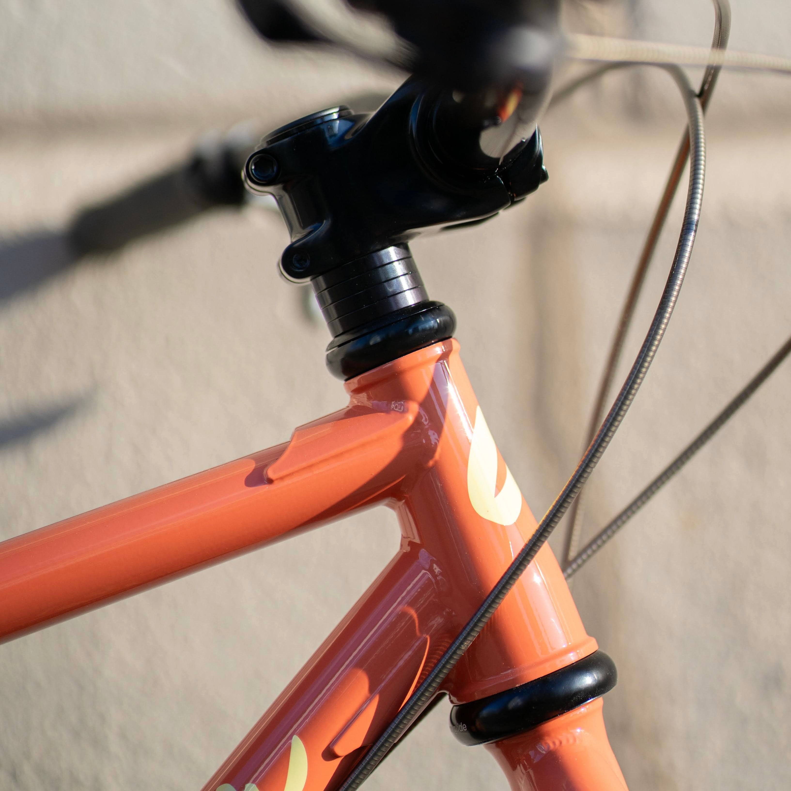 SKLAR BIKES PBJ Salmon Circles Original Complete Bike