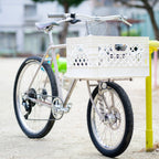 PANARACER Gravel King X1 20inch