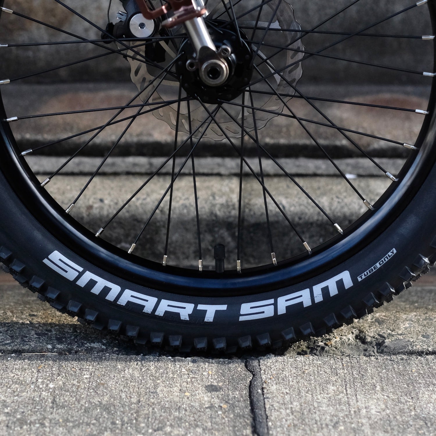 SCHWALBE Smart Sam