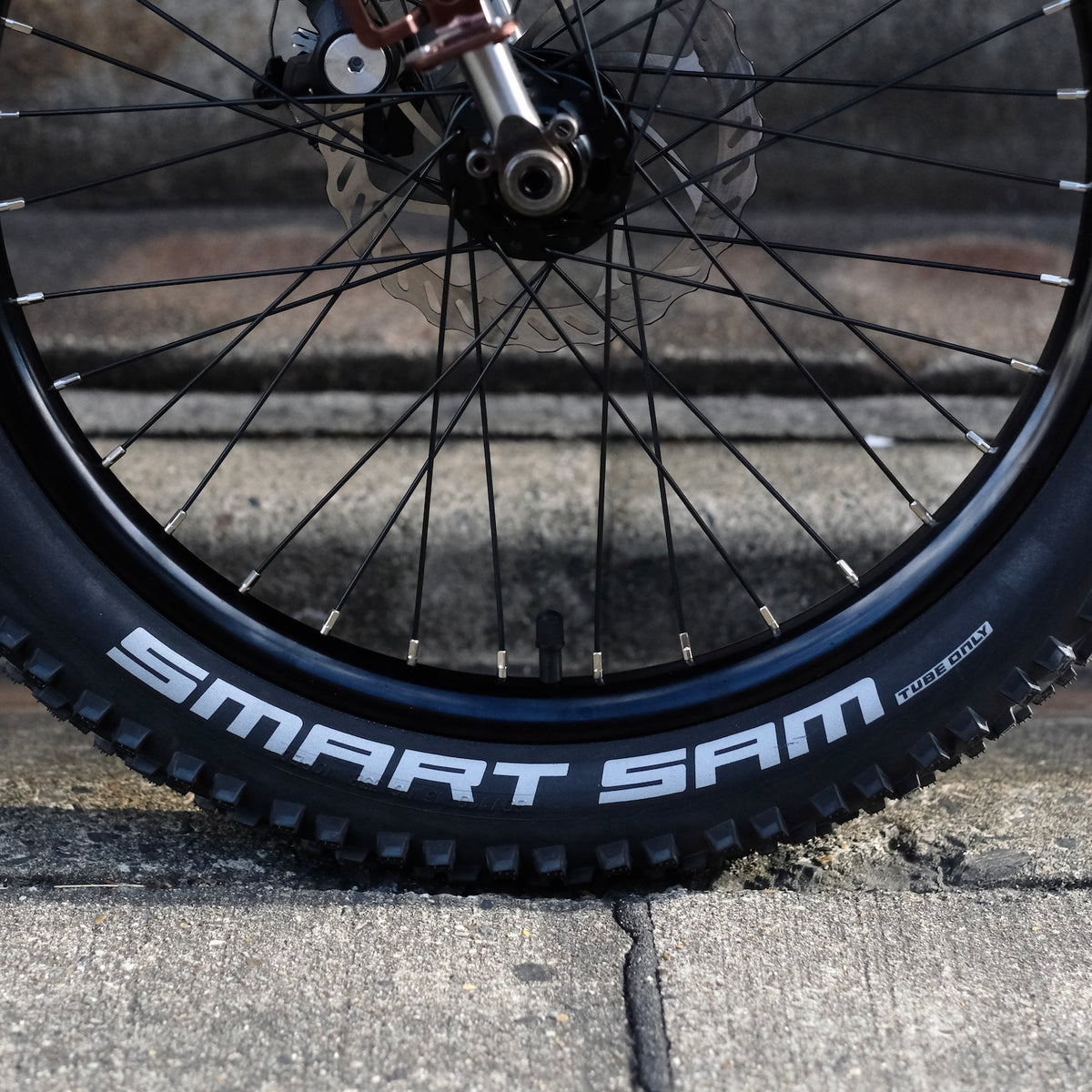 SCHWALBE Smart Sam