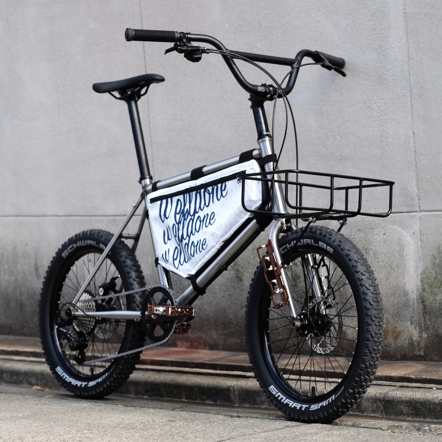 SCHWALBE Smart Sam