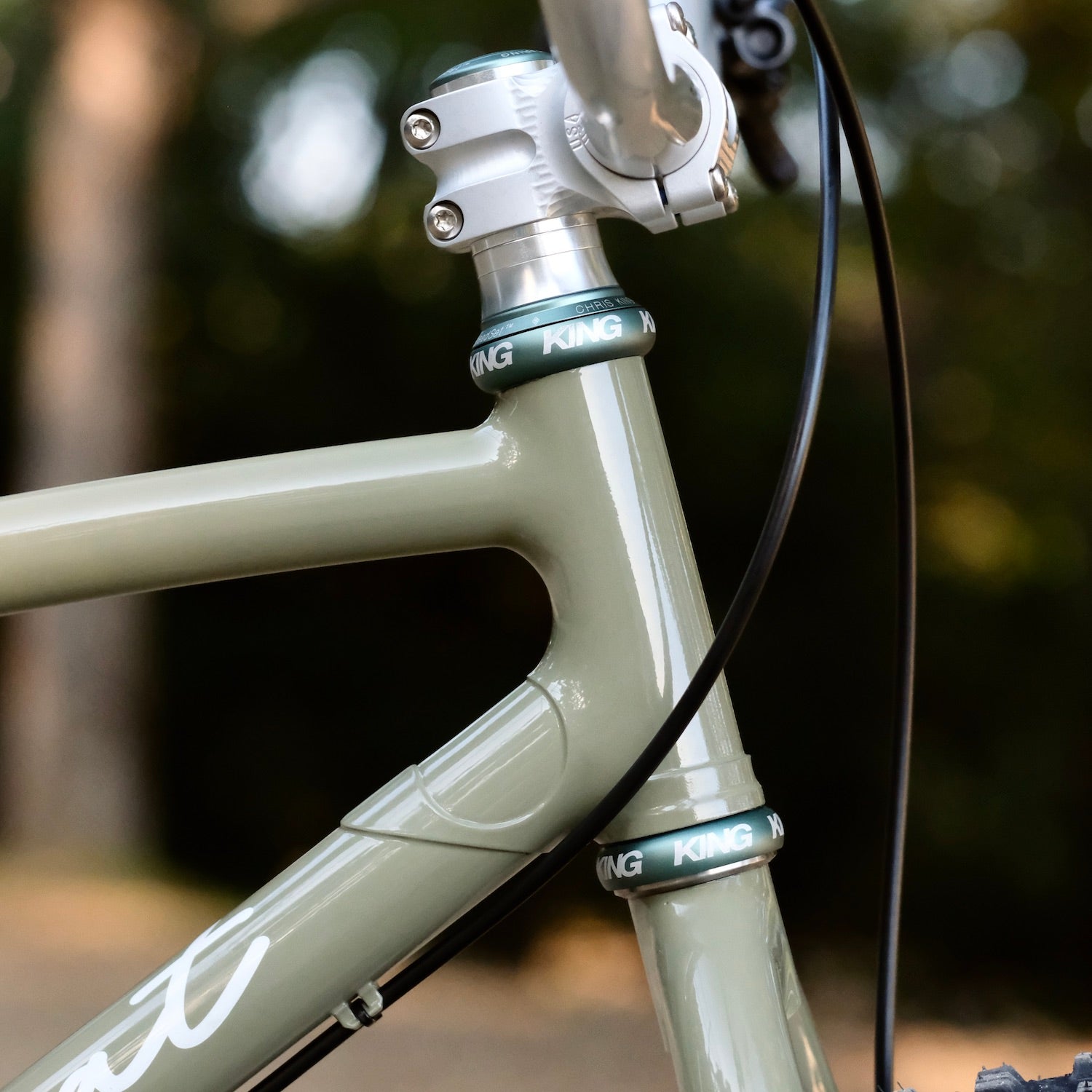 BLACKCAT BICYCLES Swami Circles Original Complete Bike