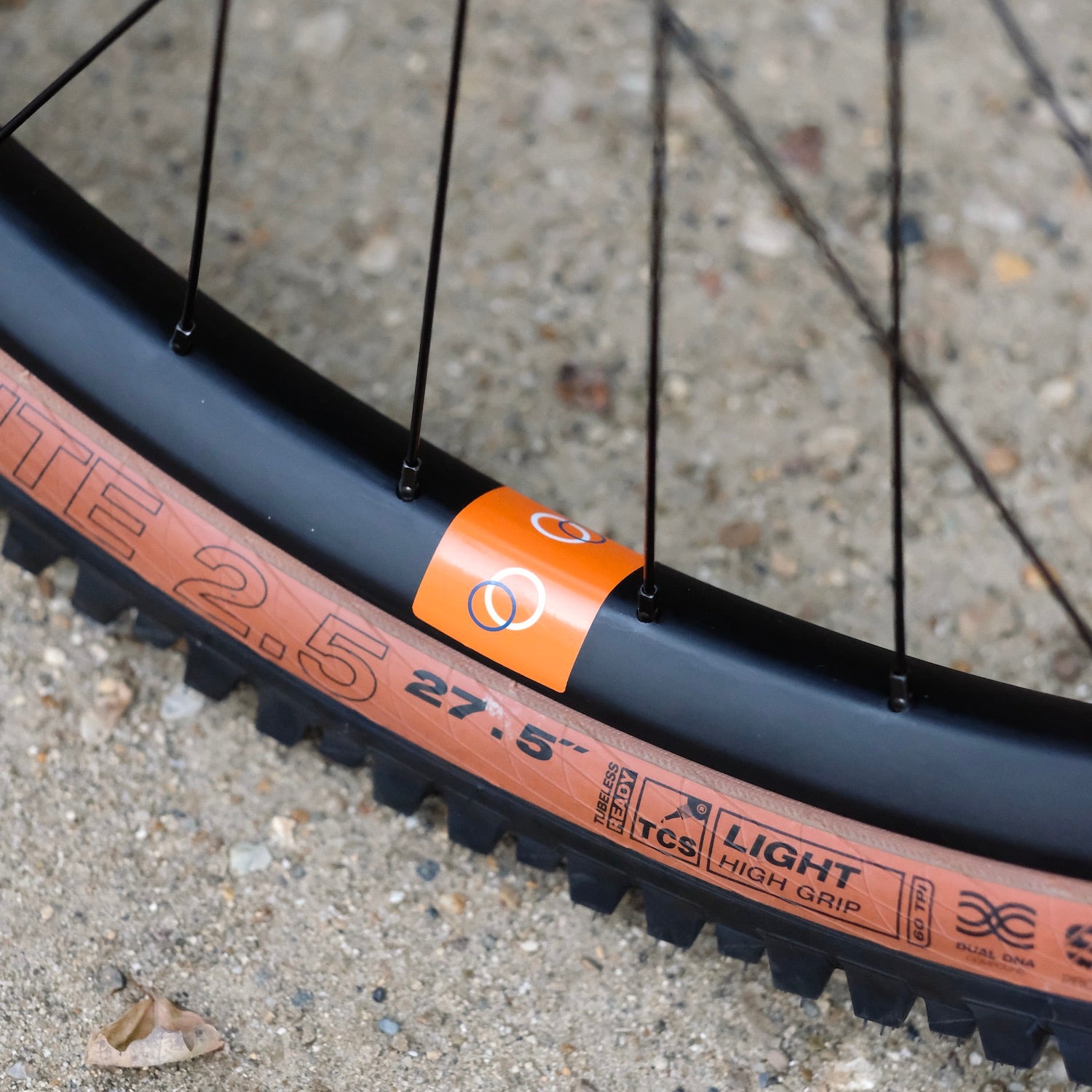 BLACKCAT BICYCLES Swami Circles Original Complete Bike