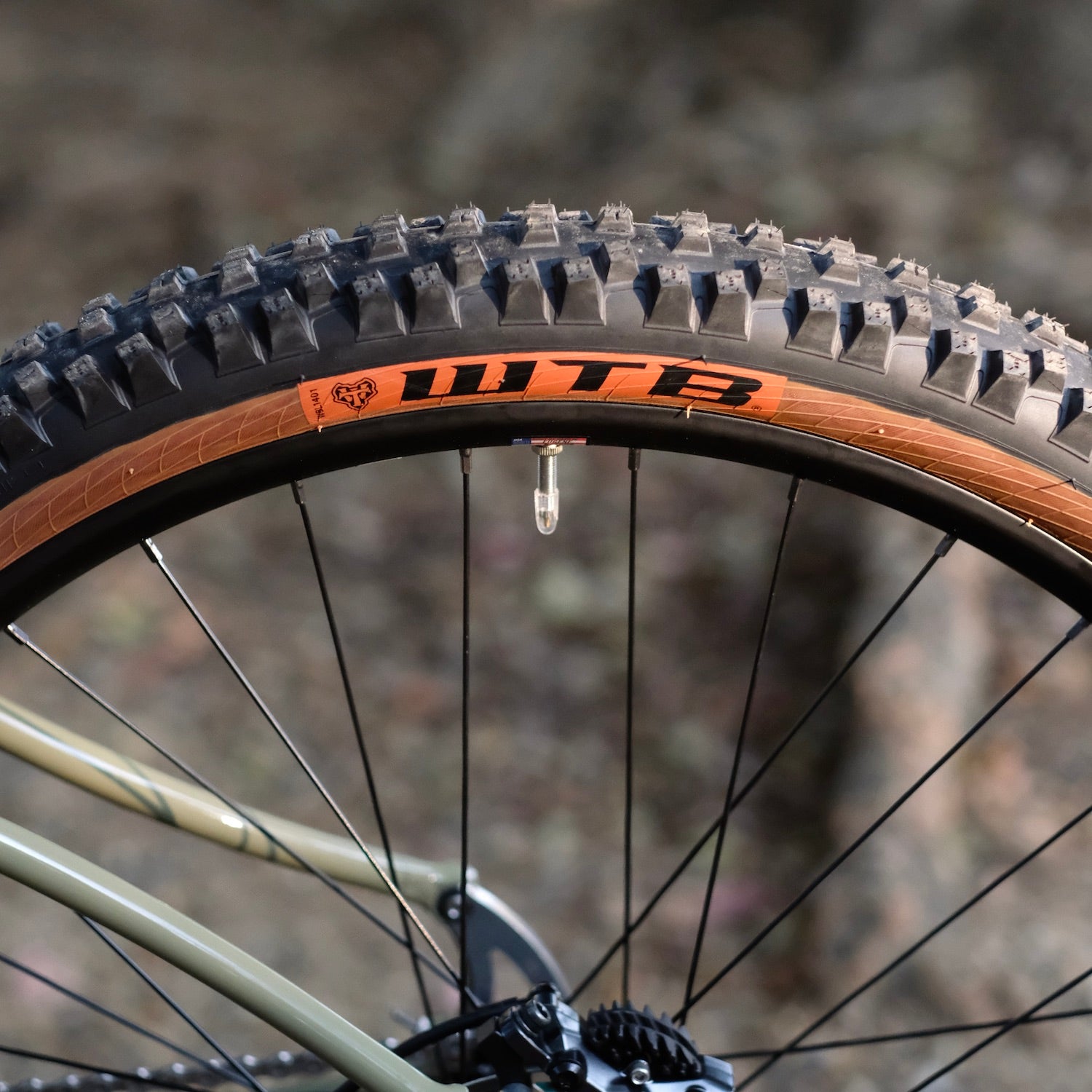 BLACKCAT BICYCLES Swami Circles Original Complete Bike