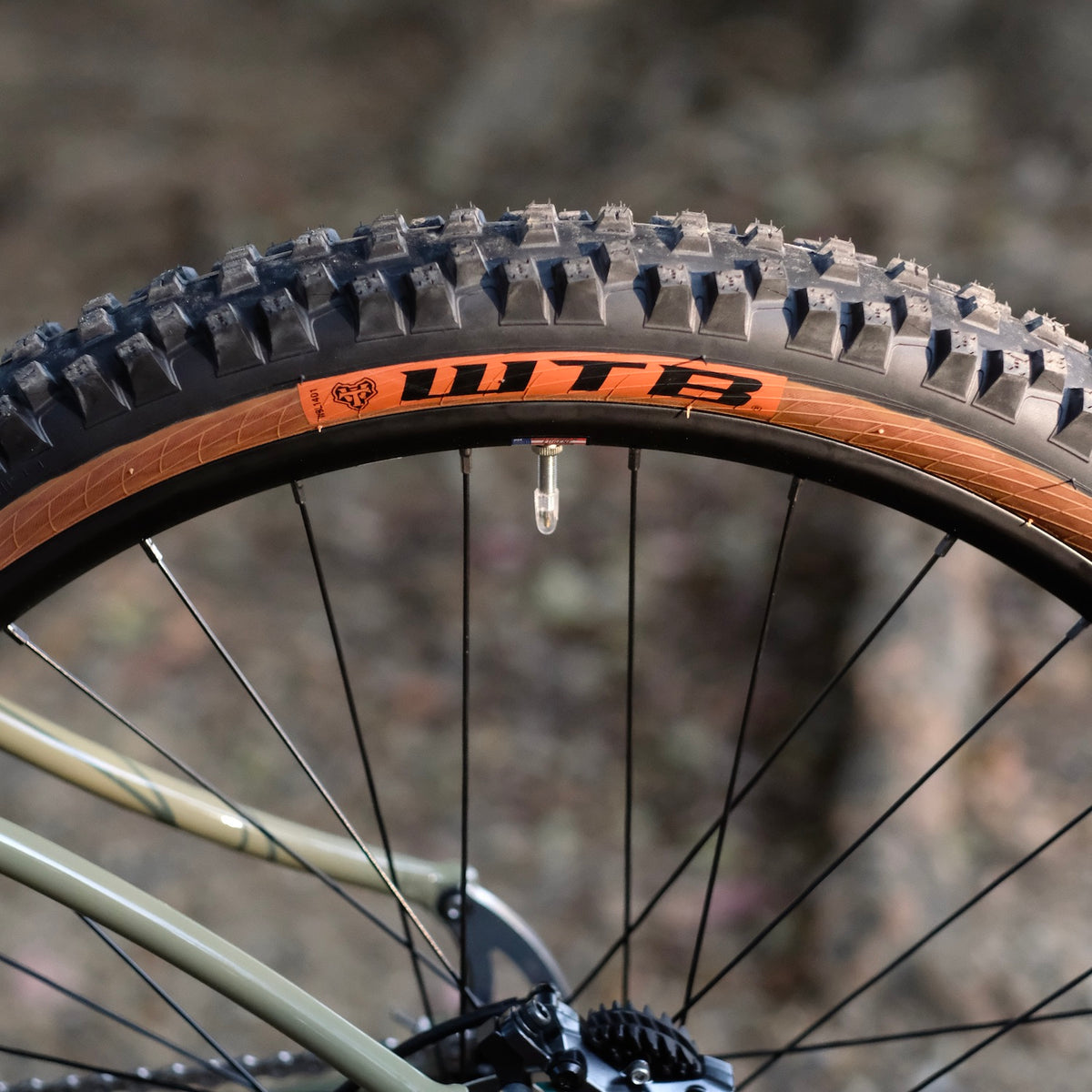 BLACKCAT BICYCLES Swami Circles Original Complete Bike