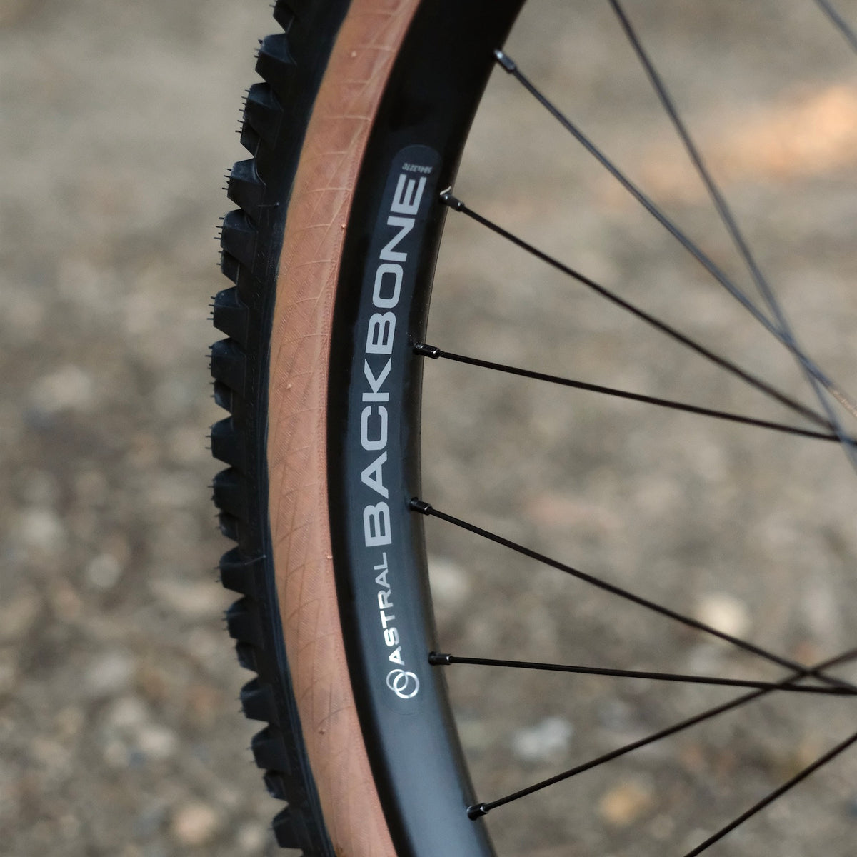BLACKCAT BICYCLES Swami Circles Original Complete Bike