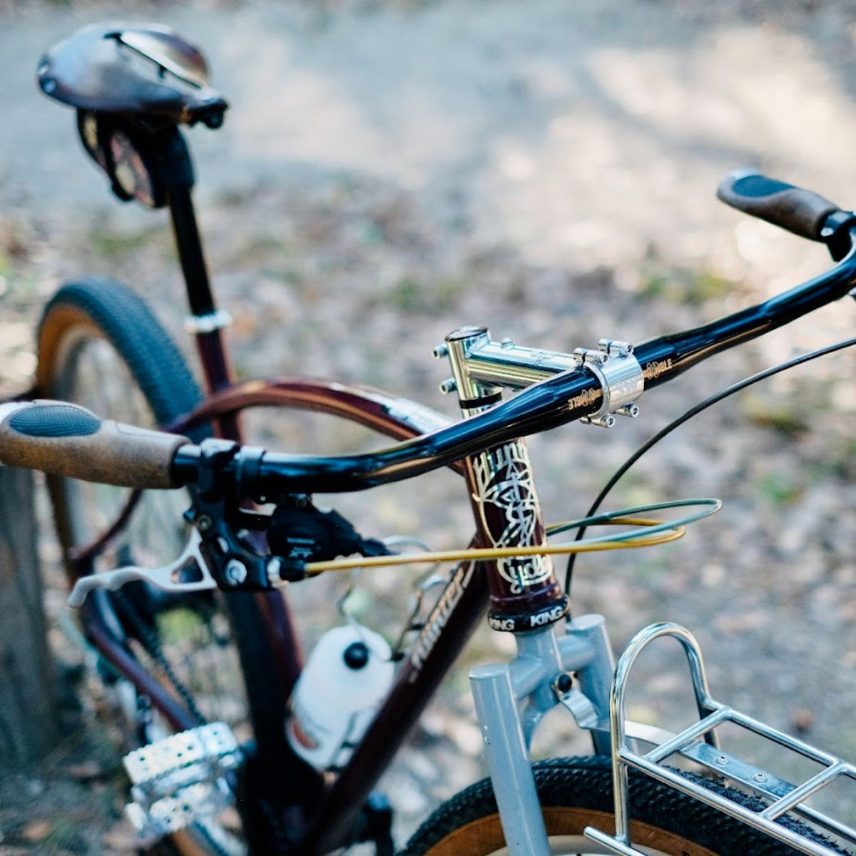ERGON GC1 BioKork Ergonomic Grips