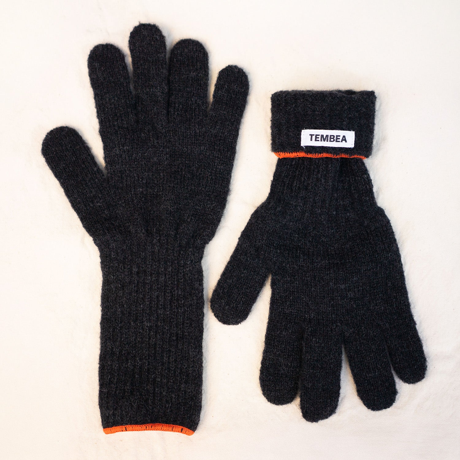 TEMBEA GUNTE LONG+10 2025