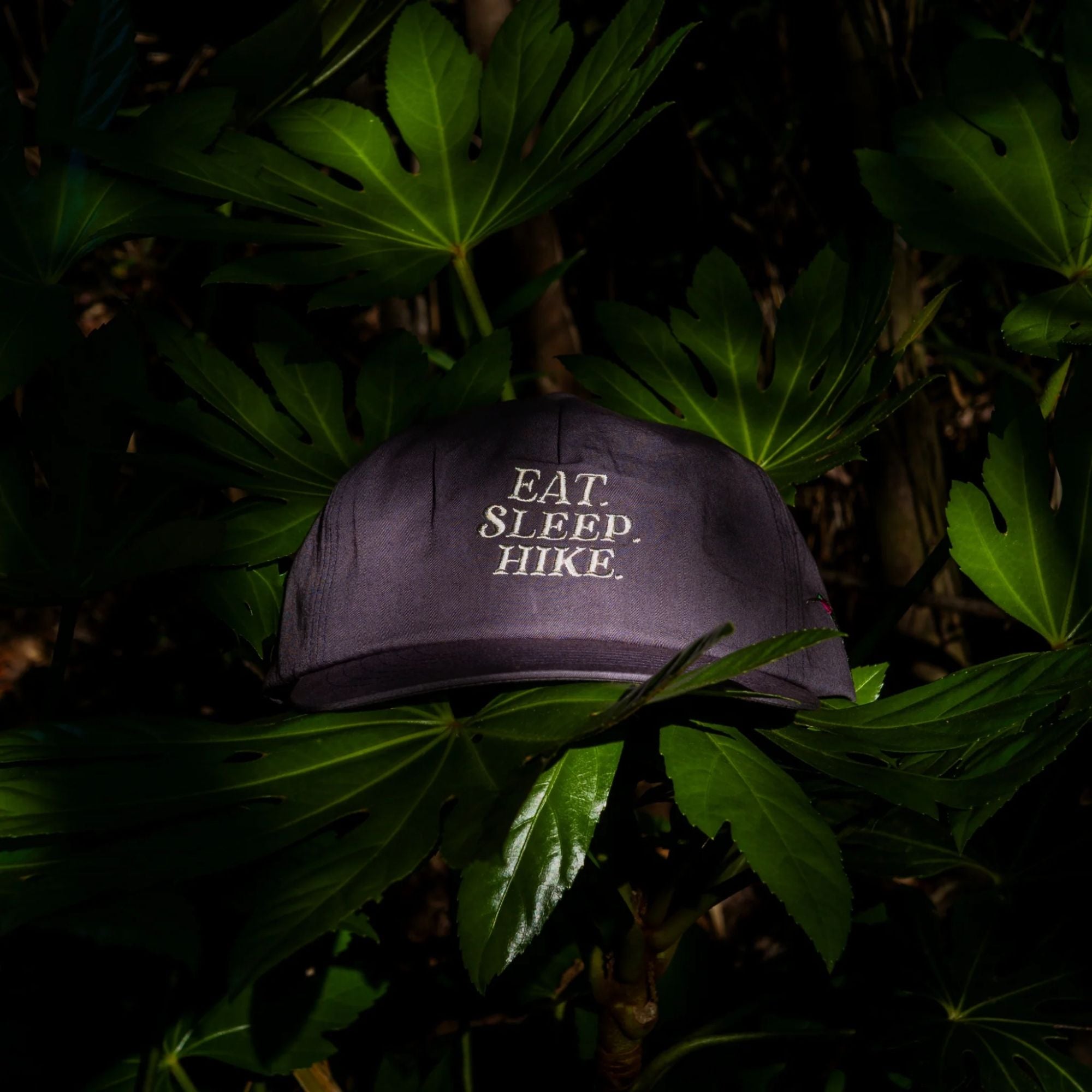 HIKER TRASH Respect Neighbors Cap