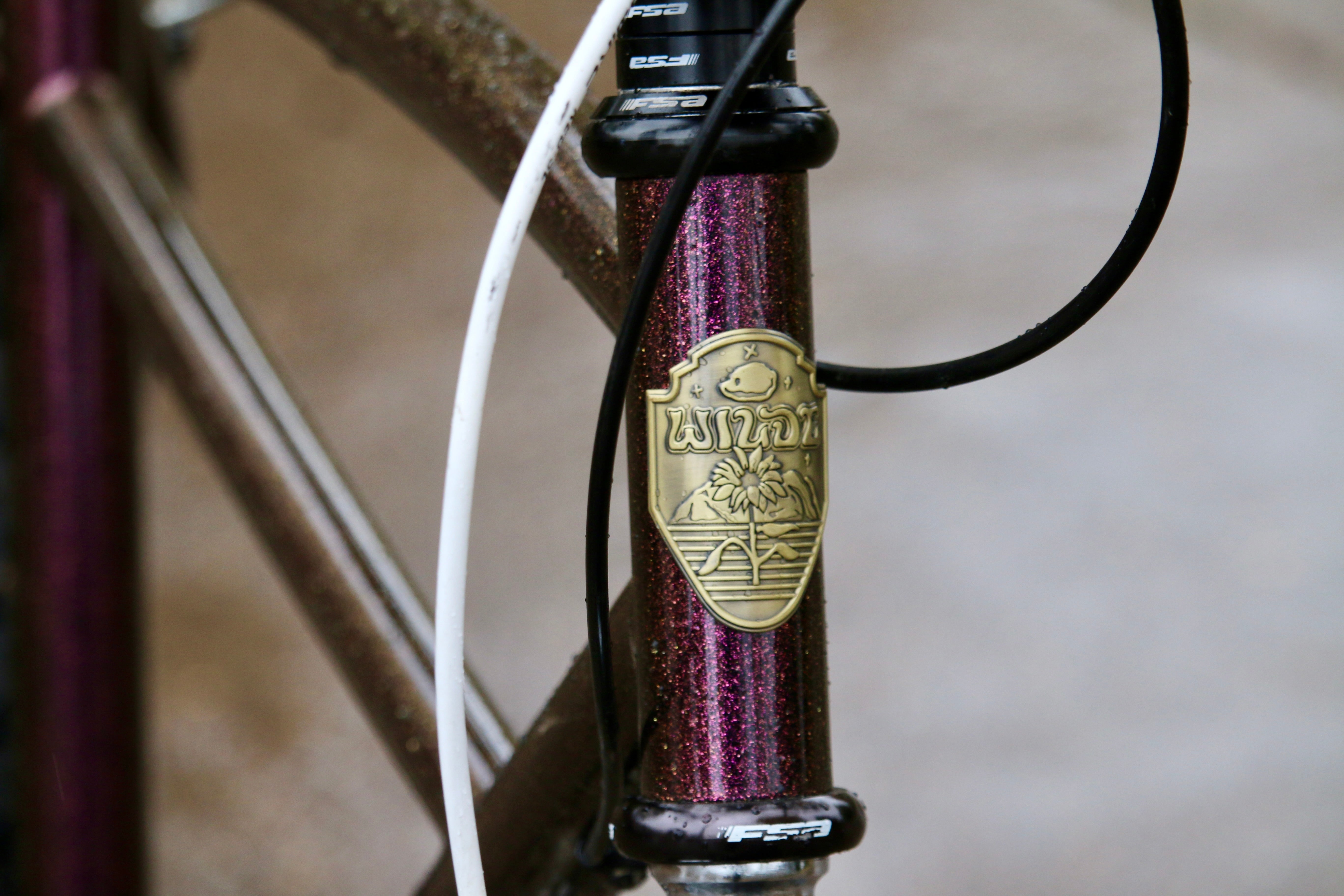 WILDE BICYCLE Moto-Cruiser Frame Set - Purple Pizazz