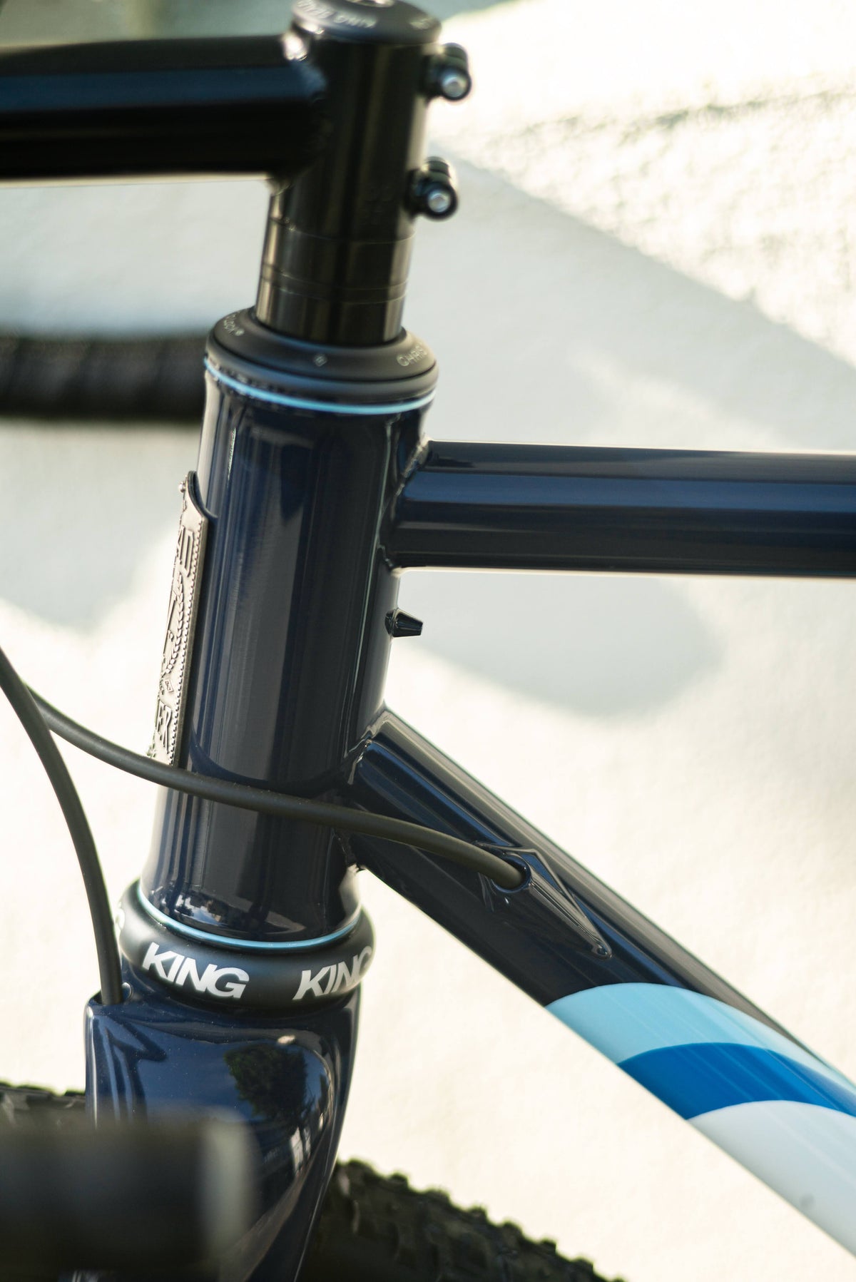 BREADWINNER CYCLES 10th Anniversary B-Road Frame Set