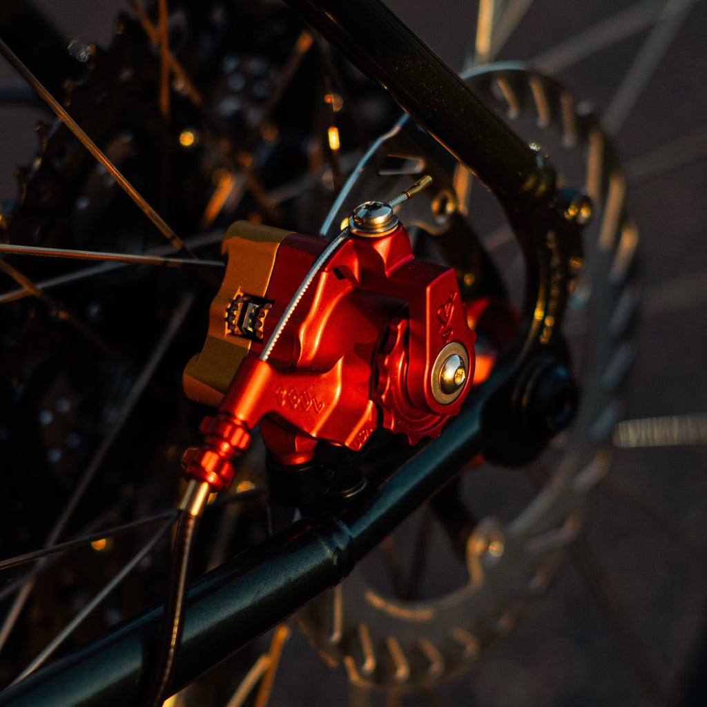 SIMWORKS x PAUL COMPONENT Flat Mount Klamper Sunset Edition