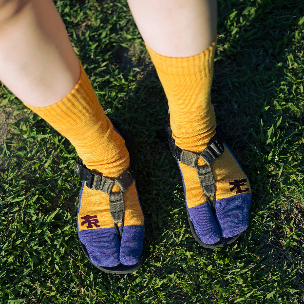RAL Tabby Socks