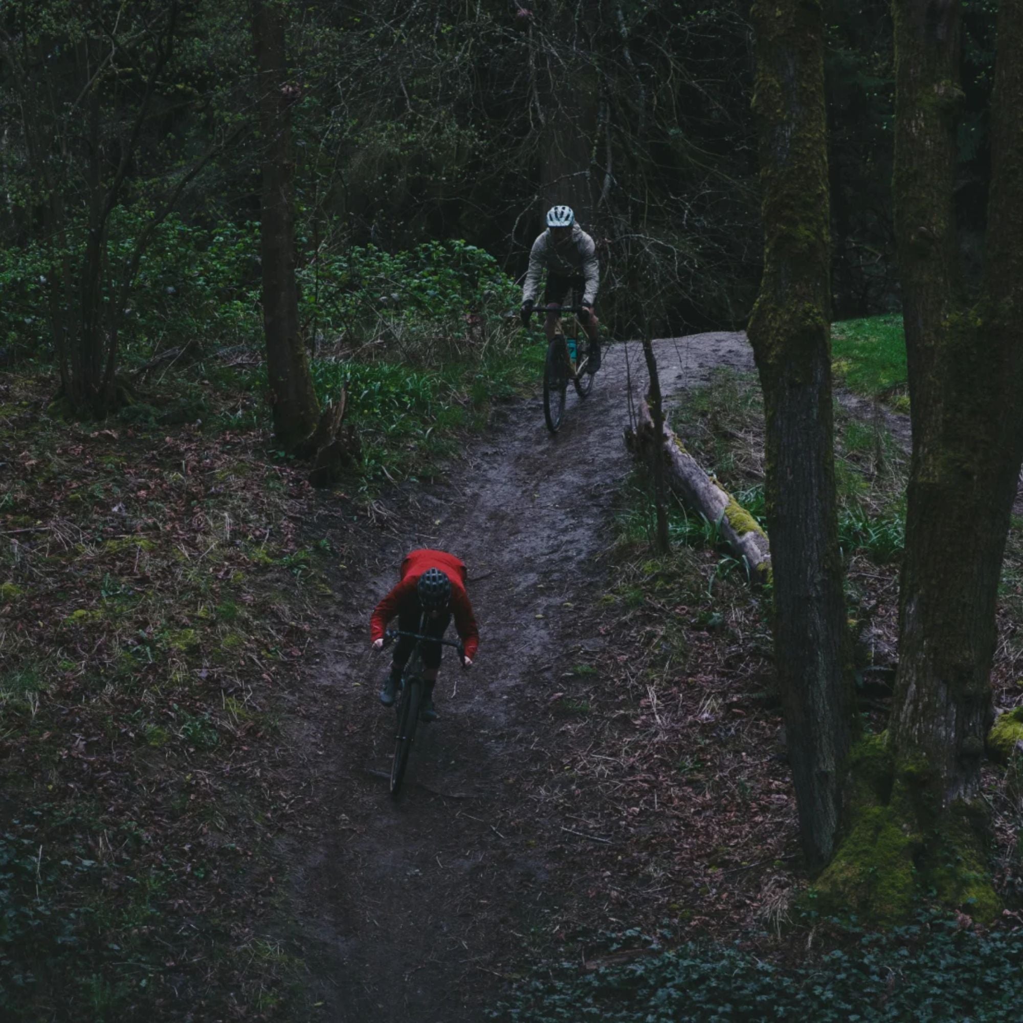 PNW Components Rainier Dropper LTD PNW Components Rainier Dropper LTD