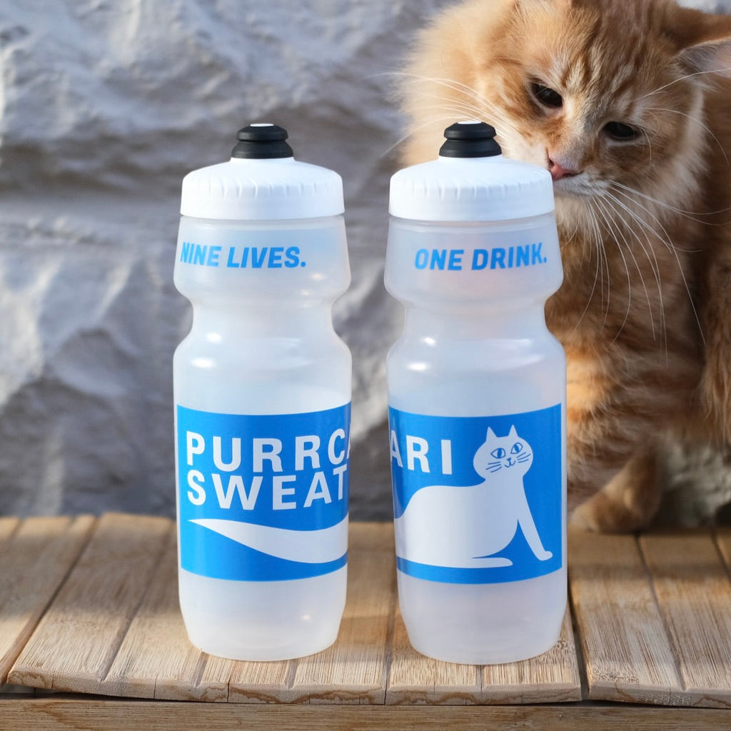MOLLY SUGAR Purrcari Sweat 24oz Bottle