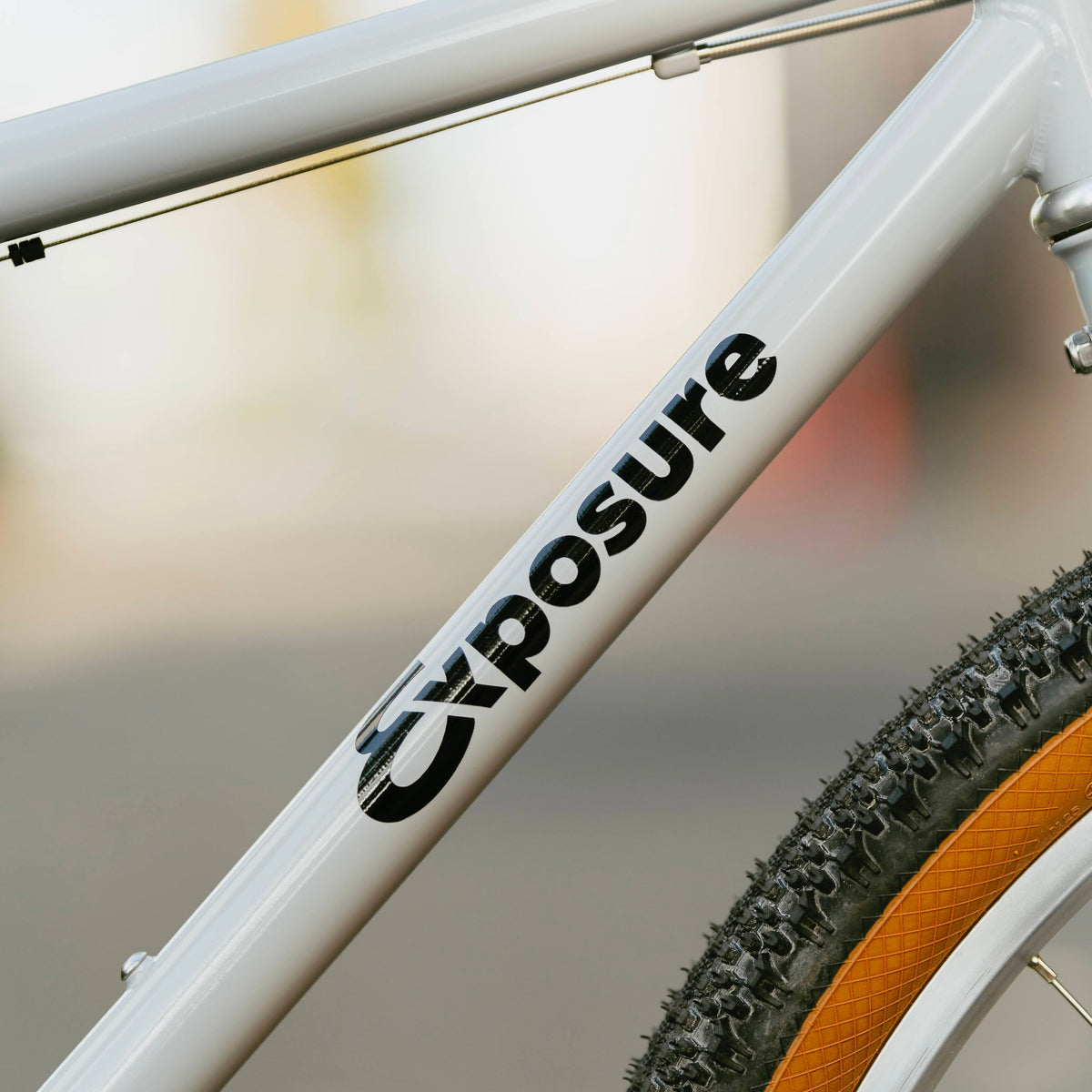 RAL Exposure - Trail Commuter Frameset