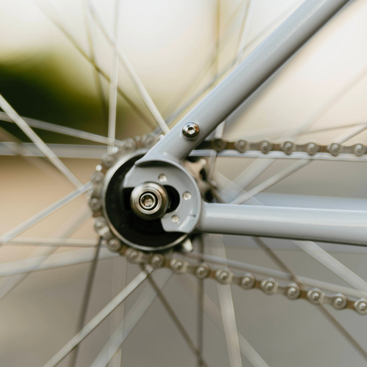 RAL Exposure - Trail Commuter Frameset