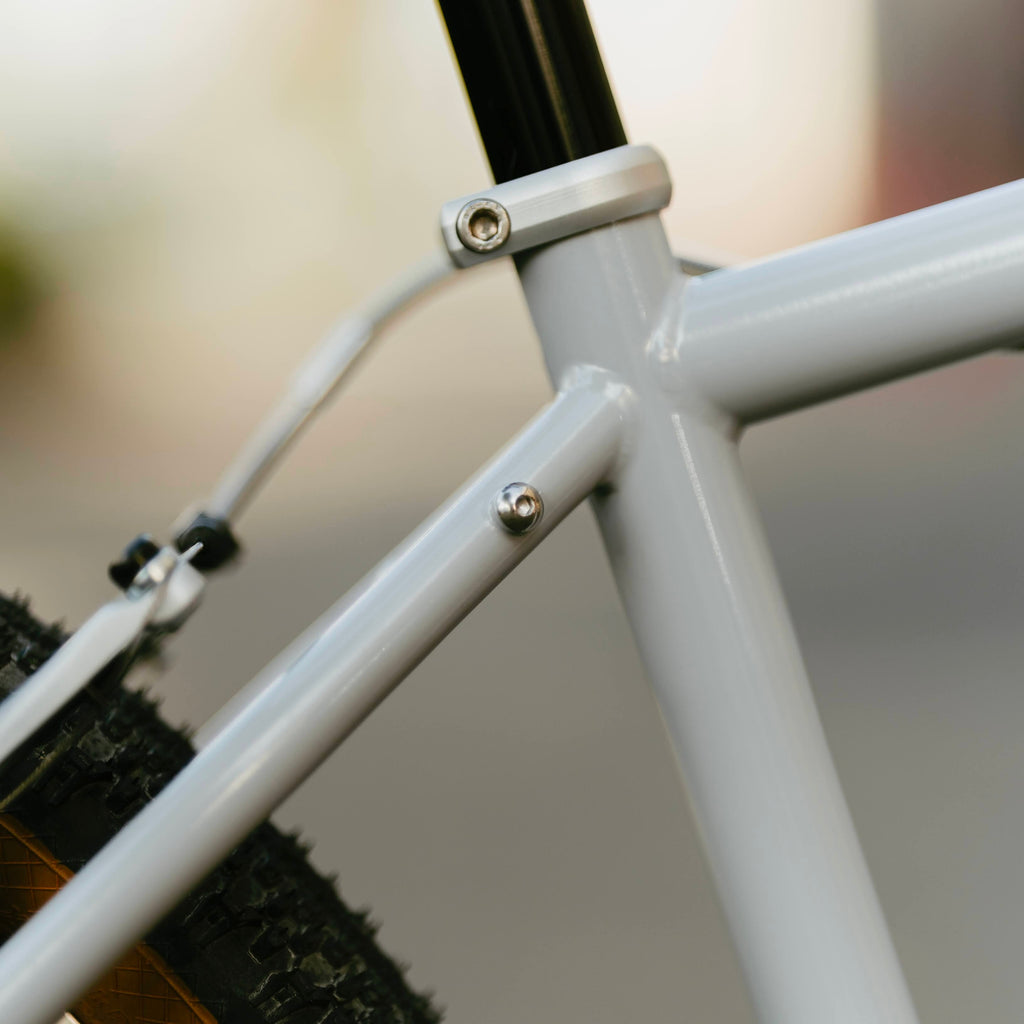 RAL Exposure - Trail Commuter Frameset
