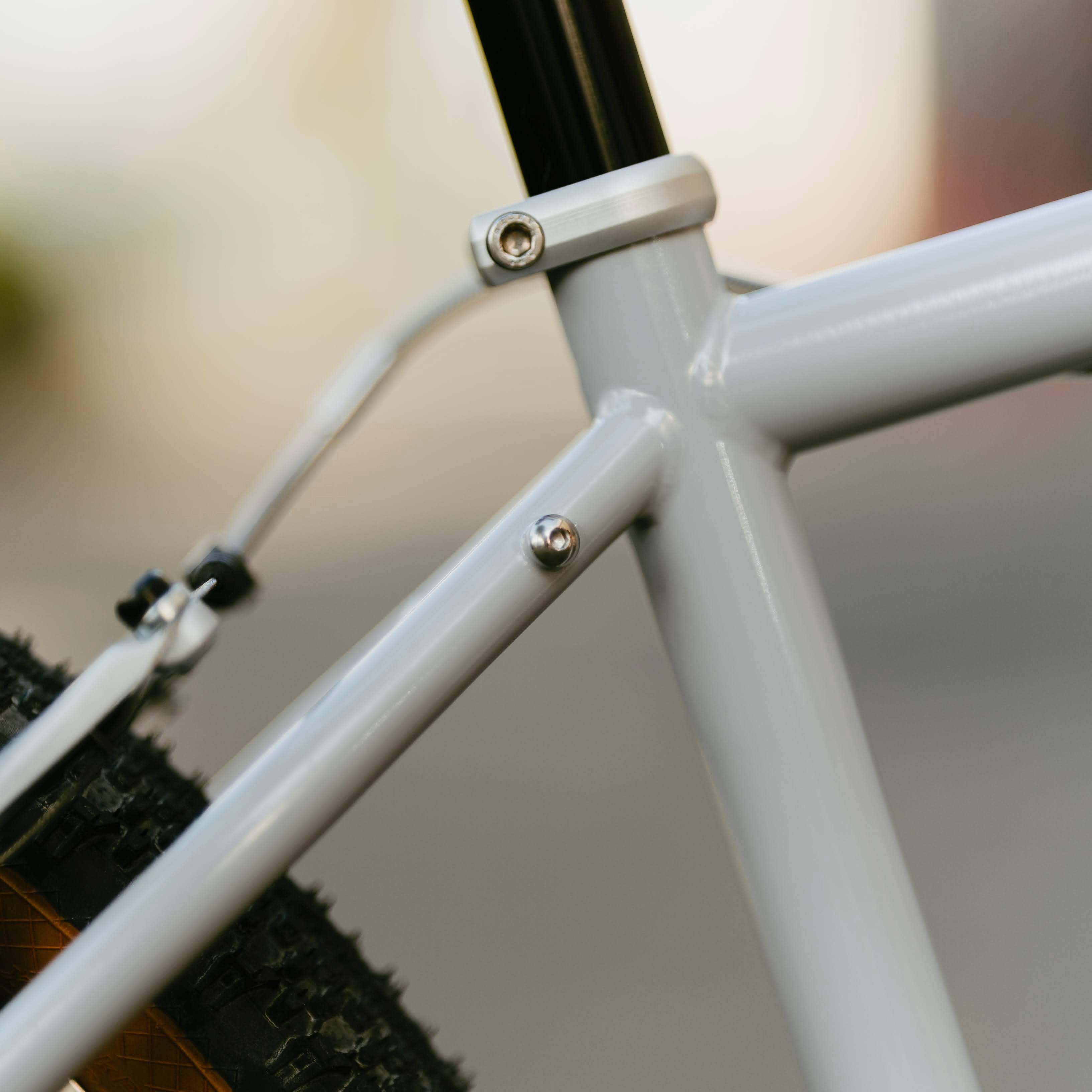 RAL Exposure - Trail Commuter Frame Set