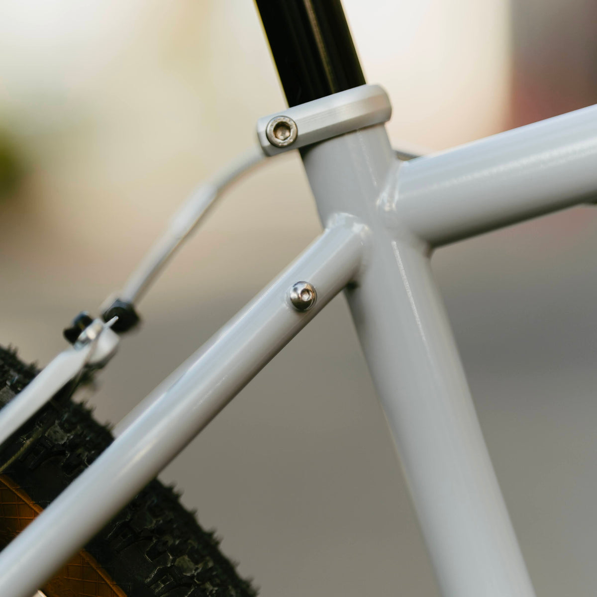 RAL Exposure - Trail Commuter Frameset